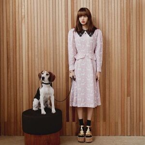 Miu Miu Lace-Trimmed Sablé Printed Midi Dress - Exclusive